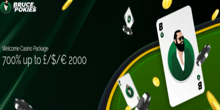 Exploring the World of Online Casino Bruce Pokies